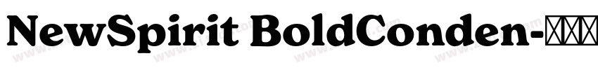 NewSpirit BoldConden字体转换